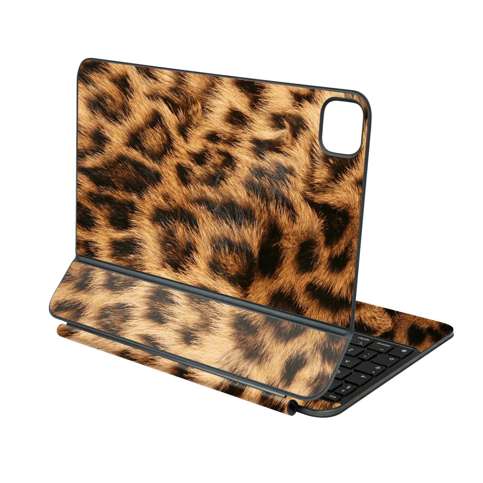 Magic Keyboard for iPad Pro 11” (M4/M5) SIGNATURE Leo Reverie Skin